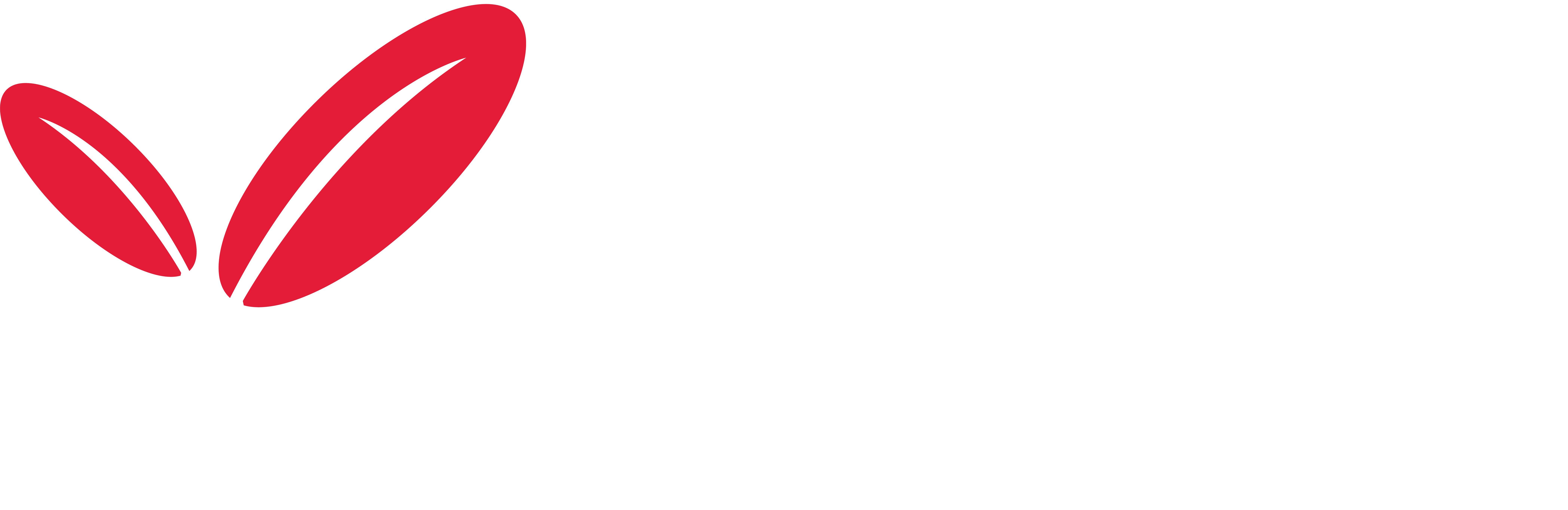 Artella Logo